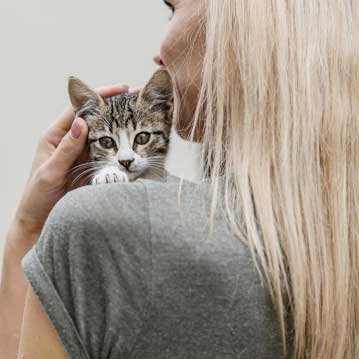 Renovación de césped e iluminación LED en España